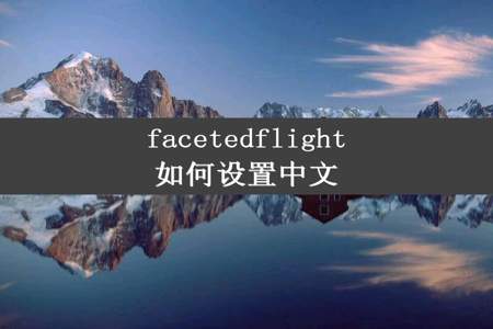 facetedflight如何设置中文