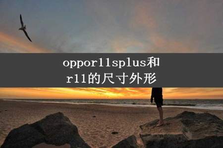 oppor11splus和r11的尺寸外形