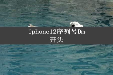 iphone12序列号Dm开头