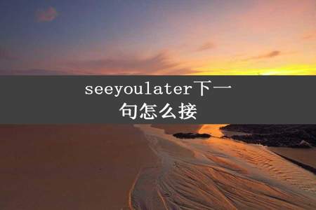 seeyoulater下一句怎么接