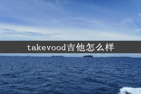 takevood吉他怎么样