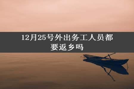 12月25号外出务工人员都要返乡吗