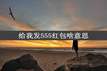 给我发555红包啥意思