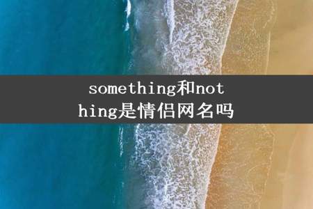 something和nothing是情侣网名吗