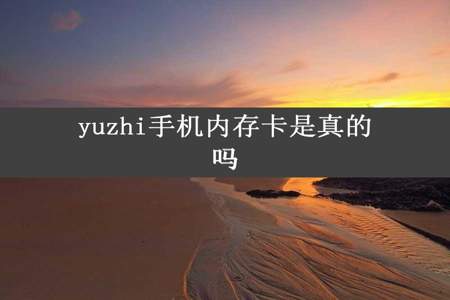 yuzhi手机内存卡是真的吗