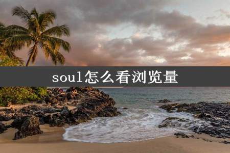 soul怎么看浏览量