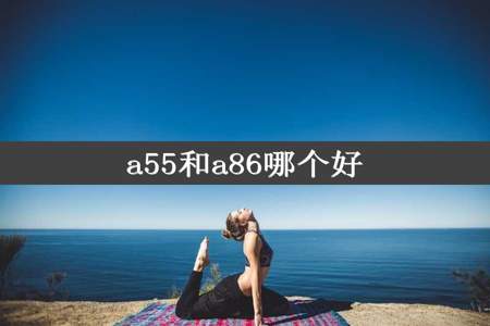 a55和a86哪个好