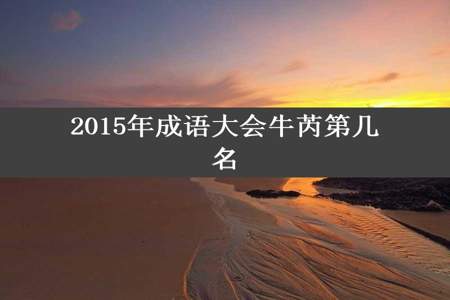 2015年成语大会牛芮第几名