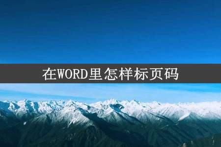 在WORD里怎样标页码