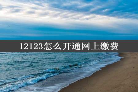 12123怎么开通网上缴费