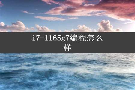 i7-1165g7编程怎么样