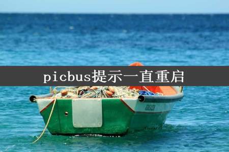 picbus提示一直重启