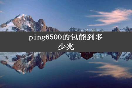 ping6500的包能到多少兆