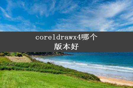 coreldrawx4哪个版本好