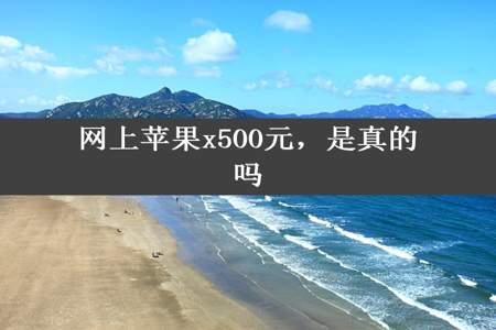 网上苹果x500元，是真的吗