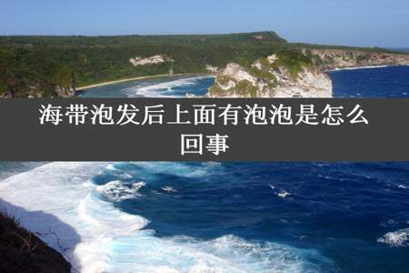 海带泡发后上面有泡泡是怎么回事