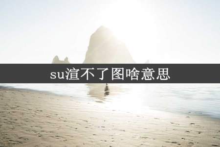 su渲不了图啥意思