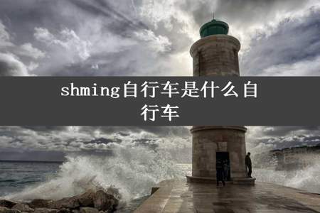 shming自行车是什么自行车