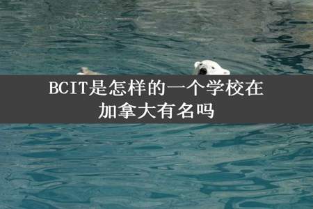 BCIT是怎样的一个学校在加拿大有名吗