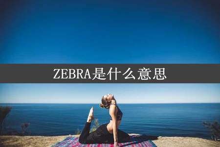 ZEBRA是什么意思