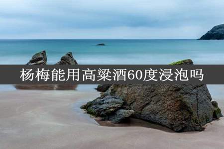 杨梅能用高粱酒60度浸泡吗