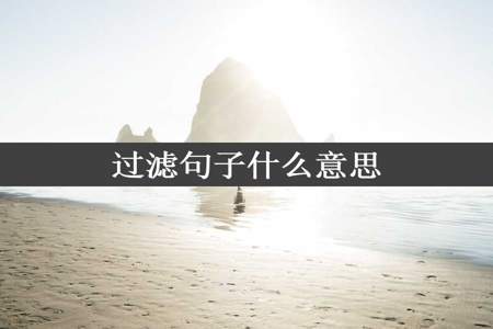 过滤句子什么意思