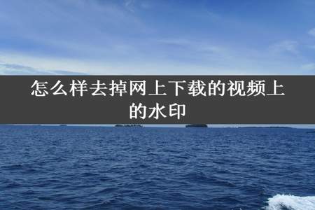 怎么样去掉网上下载的视频上的水印