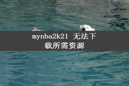 mynba2k21 无法下载所需资源
