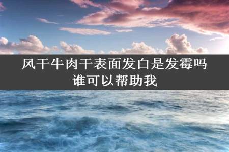 风干牛肉干表面发白是发霉吗谁可以帮助我