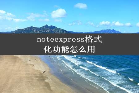 noteexpress格式化功能怎么用