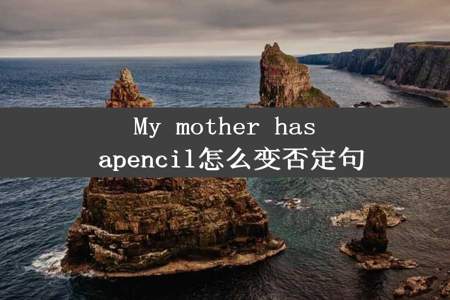 My mother has apencil怎么变否定句