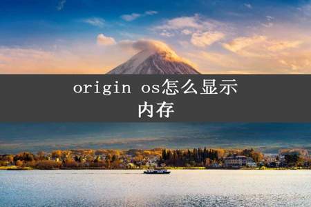 origin os怎么显示内存
