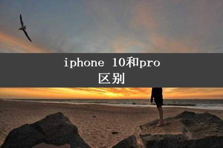 iphone 10和pro区别