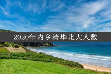 2020年内乡清华北大人数