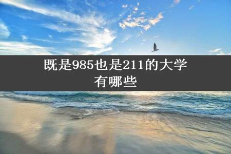 既是985也是211的大学有哪些