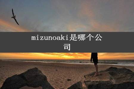 mizunoaki是哪个公司