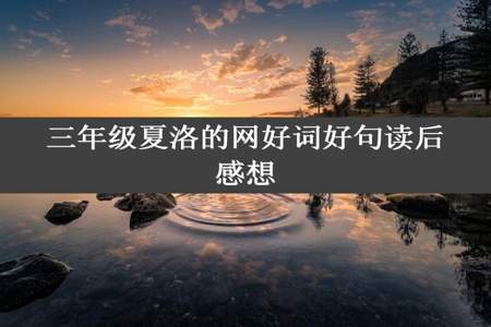 三年级夏洛的网好词好句读后感想