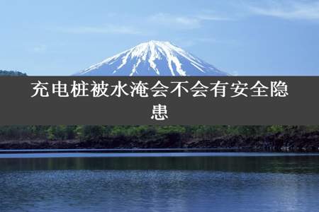 充电桩被水淹会不会有安全隐患