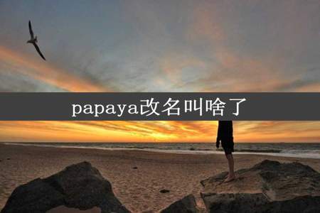 papaya改名叫啥了