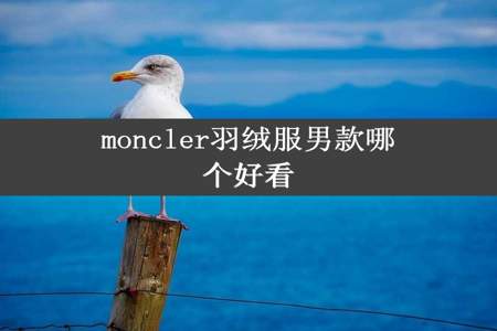 moncler羽绒服男款哪个好看