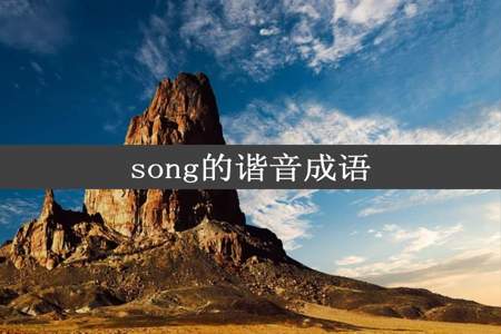 song的谐音成语