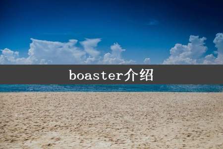 boaster介绍
