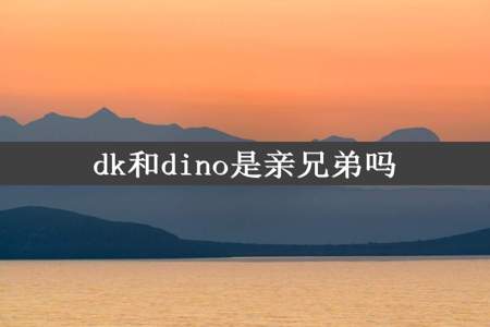 dk和dino是亲兄弟吗