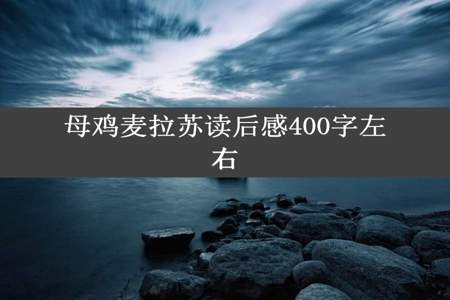 母鸡麦拉苏读后感400字左右