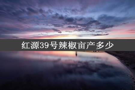 红源39号辣椒亩产多少