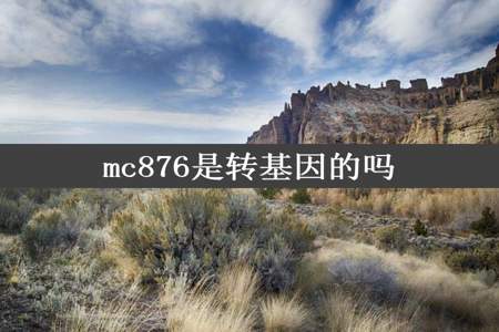 mc876是转基因的吗