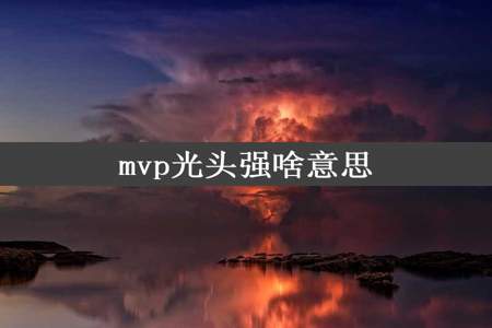 mvp光头强啥意思