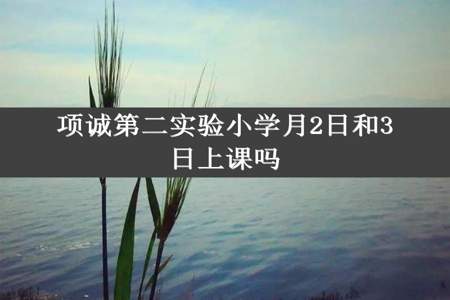 项诚第二实验小学月2日和3日上课吗