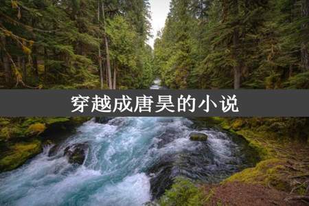 穿越成唐昊的小说