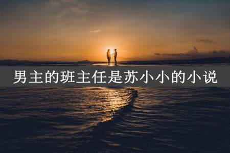 男主的班主任是苏小小的小说